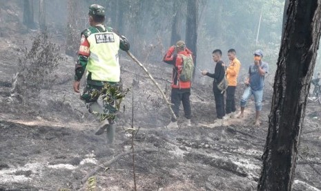 Kebakaran hutan dan lahan (karhutla) di Sumatra Barat (Sumbar), Kamis (12/9). (Ilustrasi)