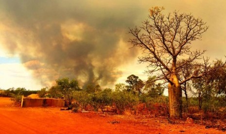  Kebakaran hutan dan semak di Australia.