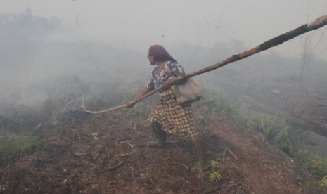 Kebakaran hutan di Aceh Barat. (Ilustrasi) 