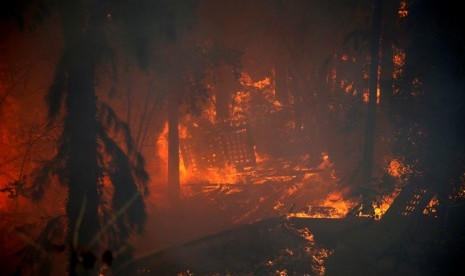 Kebakaran hutan di utara kota Haifa, Israel 24 November 2016.