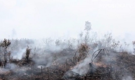 Kebakaran hutan (Ilustrasi)