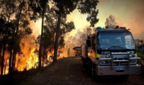 Kebakaran hutan terbaru di Australia