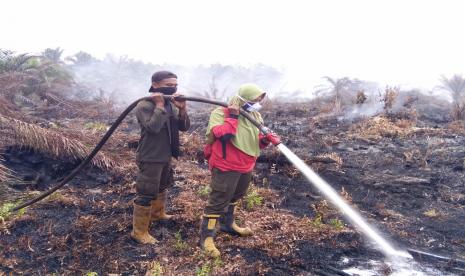 Karhutla Dikhawatirkan Bisa Memperburuk Dampak Corona. Foto: Kebakaran hutan (ilustrasi)