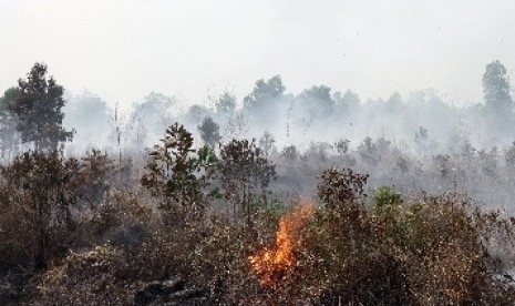 Kebakaran lahan gambut di Riau