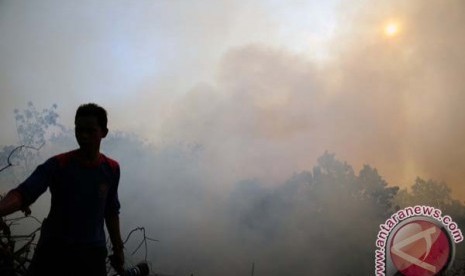 Kebakaran lahan penyebab kabut asap di Pekanbaru