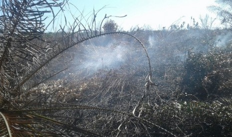 Kebakaran lahan terjadi di atas 20 hektare lahan milik PT A di Pasaman Barat, Sumbar, Senin (7/8). BPBD dan Dinas PU Sumbar mengerahkan dua alat berat untuk membuat kanal air sebagai upaya pemadaman.