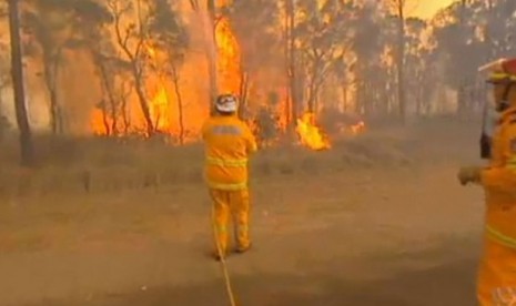 Kebakaran semak di barat kota Sydney, Australia semakin luas.