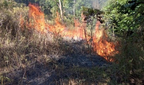 BPBD Ingatkan Warga Penajam tak Buka Lahan dengan Dibakar