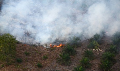 Kebakaran terjadi lahan kebun kelapa sawit terlihat dari udara di Kabupaten Pelalawan, Riau, Kamis (27/6). Kebakaran lahan dan hutan di Provinsi Riau masih terjadi setelah sepekan tanggap darurat asap diberlakukan.