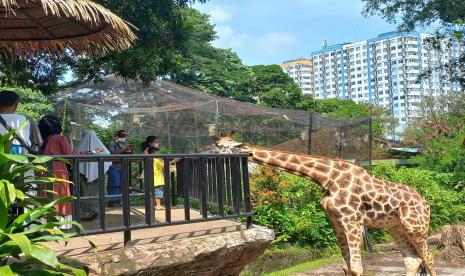 Kebun Binatang Bandung dipadati oleh wisatawan saat libur lebaran 1443 Hijriah, Rabu (4/5/2022). 