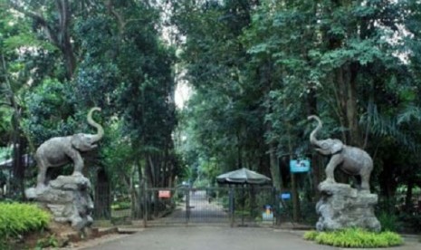 Kebun Binatang Ragunan.