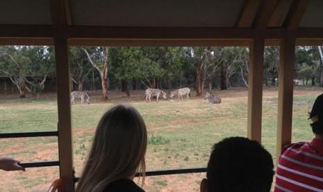 Kebun Binatang Werribee di Melbourne 