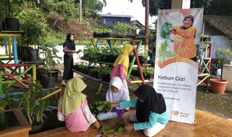 Kebun Gizi binaan Rumah Zakat panen perdana.