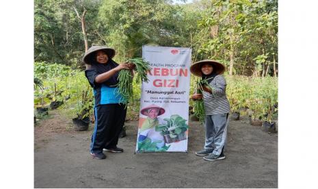 Kebun gizi lansia Manunggal Asri binaan Rumah Zakat di Desa Arjowinangun, Puring, Kebumen.