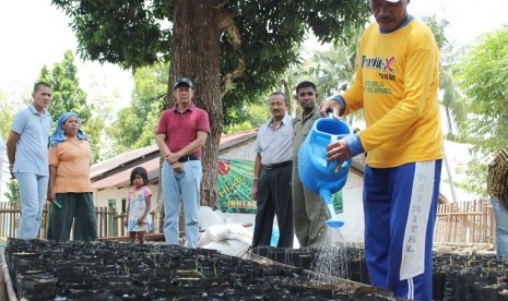 Kebun pembibitan tanaman 