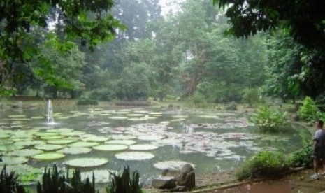 Kebun Raya Bogor