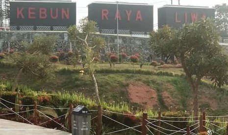 Kebun Raya Liwa di Kabupaten Lampung Barat. 