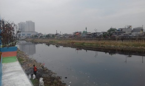 Kebun sayur milik warga di bantaran Banjir Kanal Barat, Grogol Jakarta Barat rusak akibat naiknya tinggi air setelah hujan deras mengguyur Jakarta, Senin (29/10). 