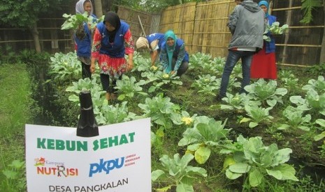 Kebun Sehat PKPU