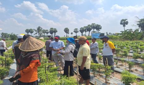 Kegiatan diseminasi dan berbagi pengetahuan teknologi mikroba intensif.