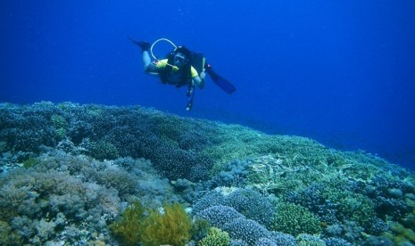 Kegiatan diving di laut Taka Bonerate di Pulau Tinabo Besar, Kepulauan Selayar, Sulawesi Selatan.