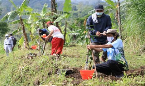 Masyarakat Diminta Rajin Tanam Pohon Selamatkan Rawapening. Kegiatan Gerakan Menanam Pohon Bersama Masyarakat di Hulu Sungai Parat (DAS Rawapening), yang dilaksanakan di Dusun Banyudono, Desa Gedong, Kecamatan Banyubiru, Kabupaten Semarang, Sabtu (9/1). Gerakan menanam ini dilaksanakan untuk menyelamatkan kawasan DAS yang bermuara di danau Rawapening.