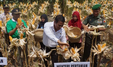 Kegiatan Mentan Andi Amran Sulaiman di Tuban dan Gresik, Rabu (30/9/201)