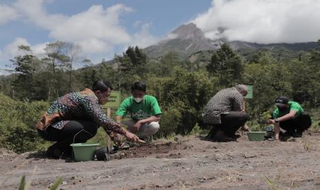 Kegiatan penanaman bibit tanaman kopi dalam rangka Gerakan Tanam Kopi di Sleman, DIY.