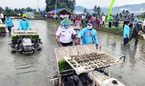 Kegiatan Pencanangan Tanam Padi Sawah MT II dihadiri oleh Gubernur Papua Barat, Dominggus Mandacan. Ketersediaan pupuk di Kabupaten Manokwari cukup untuk mendukung percepatan tanam padi 276 ha dari target luas 822,5 ha di Kampung Prafi Mulya, Distrik Prafi. 