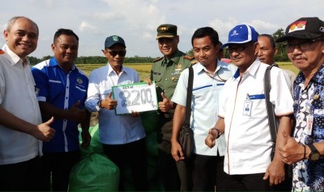 Kegiatan serap gabah di Grobogan, Jawa Tengah, Rabu (28/2).