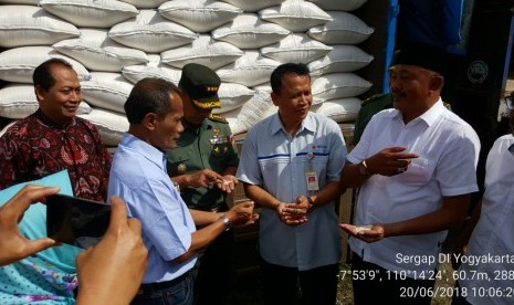 Kegiatan serap gabah petani (Sergap) di Gapoktan Makmur Sejahtera, Kulon Progo, Daerah Istimewa Yogyakarta (DIY), Rabu (20/6).