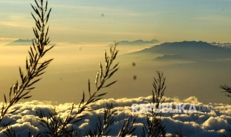 Keindahan pemandangan matahari terbit dari Sendang Drajat kawasan Puncak Gunung Lawu, Perbatasan Jawa Tengah dan Jawa Timur.