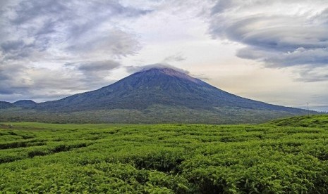 Keindahan Perkebunan teh Kayu Aro dengan latar belakang Gunung Kerinci, Jambi