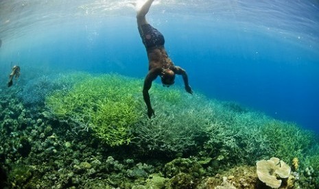 Kekayaan laut menjadi sumber pangan yang harus dijaga kelestariannya