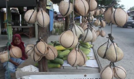 Kelapa bakar jadi pilihan minuman berbuka puasa yang nikmat. Minuman ini sangat dinikmati masyarakat khusus bagi yang berada di Kabupaten Aceh Barat, Provinsi Aceh.