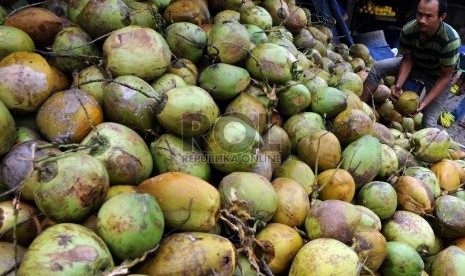 Kelapa muda