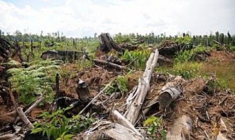 Kelestarian lingkungan terus dalam ancaman