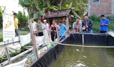 Kelompok binaan Rumah Zakat di Desa Tamanharjo, Kecamatan Singosari, Kabupaten Malang, melakukan panen perdana lele.