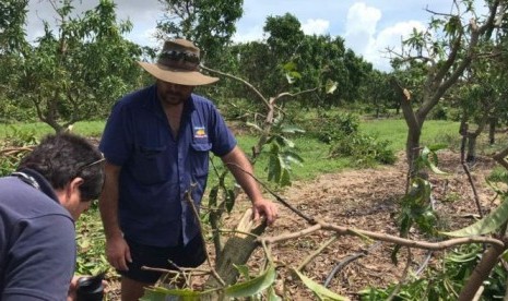 Kelompok industri ‘Canegrowers’ mengatakan, perkiraan awal dari kerugian tanaman tebu mencapai 150 juta dolar (atau setara Rp 1,5 triliun).