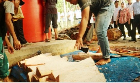 Kelompok Tani di Konawe Sulawesi Tenggara sedang mengolah sagu sebagai bahan baku tepung sagu (Foto: Humas BKP)