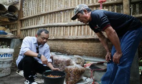 Kelompok tani kopi di kawasan Gunung Manglayang, Desa Cilengkrang, Kabupaten Bandung, Provinsi Jawa Barat. 