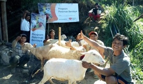 Kelompok Tani yang beralamat di Kampung Cilintung, Desa Situgede Kecamatan Karangpawitan Kabupaten Garut ini terpilih untuk menjadi Kelompok Binaan dalam Program Peternak Berdaya.