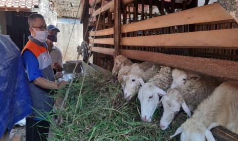 Kelompok Ternak Kebrajan merupakan Program Ternak Kambing yang dibentuk oleh Relawan Rumah Zakat di Desa Berdaya Ujungrusi, Kabupaten Tegal dimana baru ada dua orang Penerima Manfaat (PM) dari program tersebut yakni Warnito dan Abdul Kodir. Kedua penerima manfaat mempunyai karakter yang berbeda dalam pengelolaan ternak kambing.