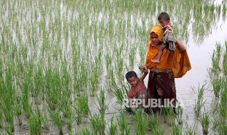 Keluarga pengungsi Rohingya melintasi pesawahan setelah melintasi perbatasan Bangladesh-Myanmar di Teknaf, Bangladesh, Rabu (6/9).