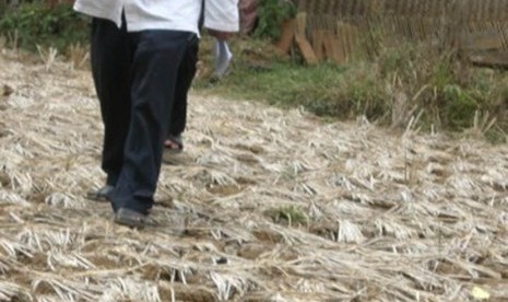 Kemarau berkepanjangan melanda Dusun Sukamaju, Desa Cikampek, Timur, Kecamatan Cikampek, Kabupaten Karawang, Jawa Barat.