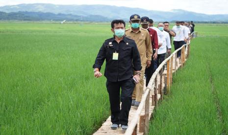 Kementan berupaya membangun korporasi pertanian.