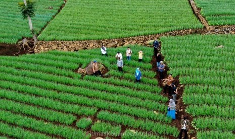 Kementan dengan Pemda Garut bersinergi melalui program pengembangan kawasan hortikultura. 