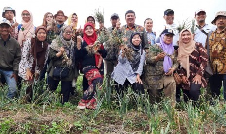 Kementan gelar pelatihan petugas verifikasi bawang putih nasional di Tegal.