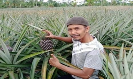 Kementan lewat Ditjen Hortikultura akan kembangkan empat jenis kampung dalam program Kampung Hortikultura