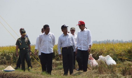 Kementan melakukan bermacam strategi untuk kedaulatan pangan.